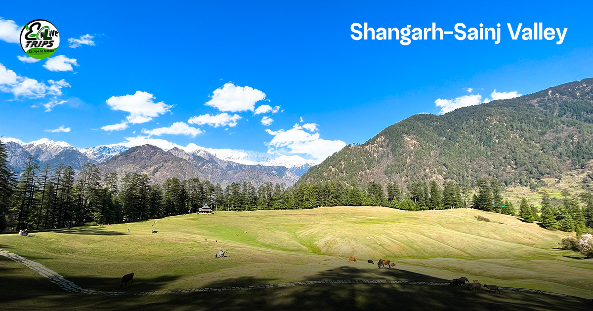 Shangarh, Sainj Valley